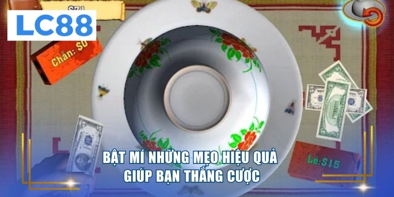 Bật mí những mẹo hiệu quả giúp bạn thắng cược