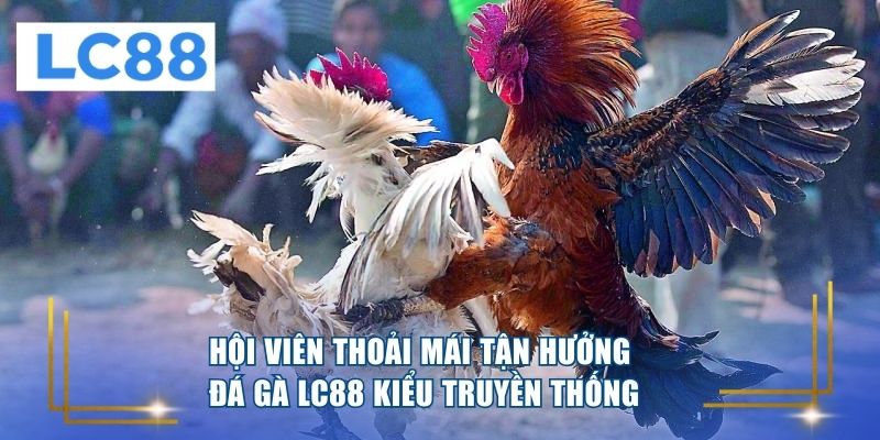 Hội viên thoải mái tận hưởng đá gà LC88 kiểu truyền thống