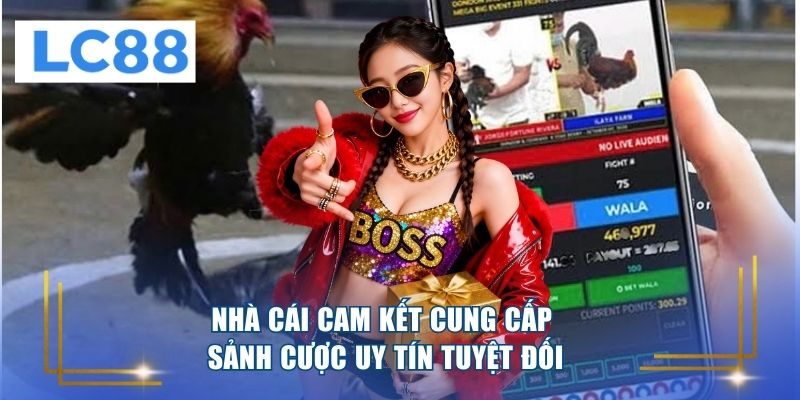 Nhà cái cam kết cung cấp sảnh cược uy tín tuyệt đối